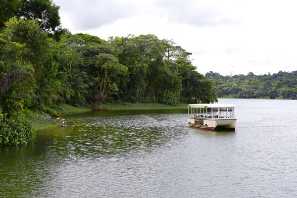 Keindahan alam di sepanjang Upper Seletar Reservoir sebagai salah satu dari area perairan terbesar di Singapura | copyright Wildlife Reserves Singapore