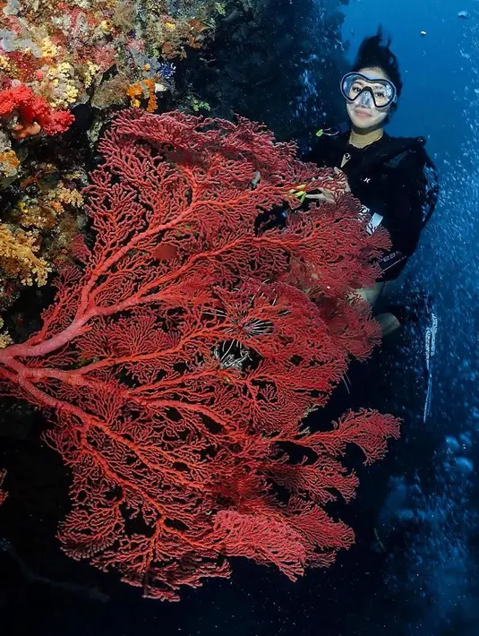 Aktivitas liburannya ia unggah di akun Instagram pribadinya, dan memperlihatkan keseruan menikmati alam bawah laut.