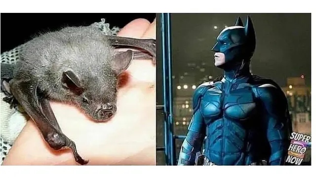 9 Foto Awal Mula Superhero ala Netizen yang Kocak Banget