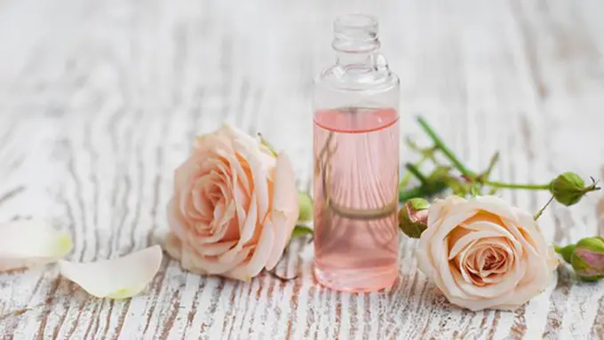 Manfaat air mawar./Copyright herbs.motherearthliving.com