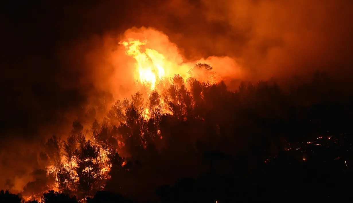 Api saat melahap hutan di Les Pennes-Mirabeau, Marseille, Prancis, (11/8). Prancis mengerahkan 1.500 petugas pemadam untuk memadamkan api yang membakar lahan dan hutan di Marseille. (AFP PHOTO/BORIS HORVAT)