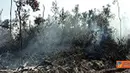 Citizen6, Sampit: Terjadi kebakaran lahan milik PT Menteng Jaya Sawit Perdana pada, Sabtu (26/6). Penyebab kebakaran sampai saat ini masih belum diketahui. (Pengirim: Yunan)
