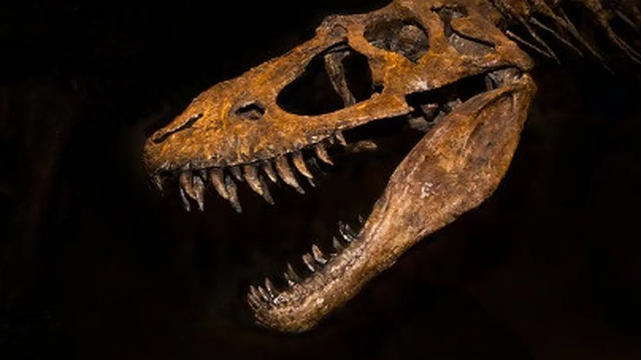 ilustrasi Tyrannosaurus rex