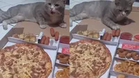 Top 3: Aksi Kocak Kucing Tertangkap Basah Mencuri Sosis Pemiliknya