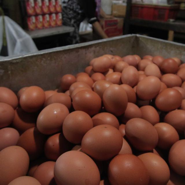 Meski Permintaan Tinggi Harga Telur Ayam Berangsur Turun Bisnis Liputan6 