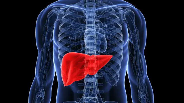 10 Makanan yang Bisa Membersihkan Liver Kamu (iStock)