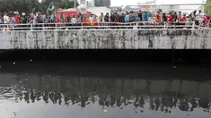 Warga melihat petugas melakukan pencarian buaya di Kali Grogol, Jakarta Barat, Jumat (29/6). Pencarian buaya sempat membuahkan hasil pada hari ketiga, namun kondisi teknis lapangan membuat predator itu kembali lepas. (Liputan6.com/Arya Manggala)