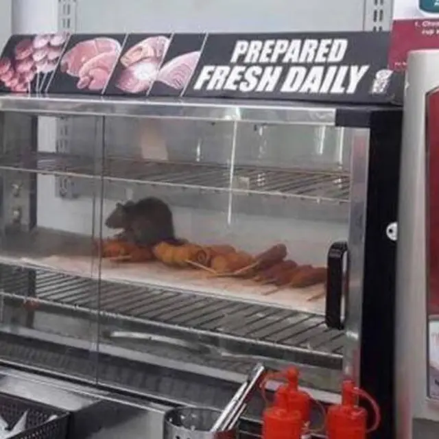 6 Momen Apes Temukan Tikus di Makanan Ini Bikin Mual, Jadi Hilang Nafsu