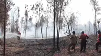 Petugas BBKSDA Riau dan Manggala Agni memadamkan kebakaran lahan di Cagar Biosfer. (Liputan6.com/M Syukur)