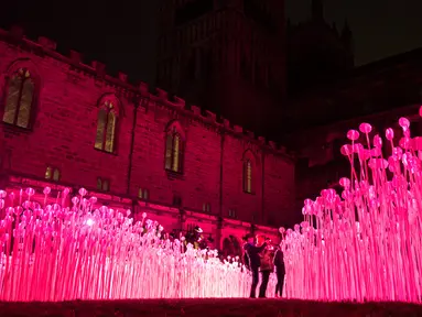 Sebuah instalasi seni berjudul 'Entre Les Rangs' menghiasi Katedral Salisbury pada Festival Cahaya Lumiere Durham di Inggris utara, 15 November 2017. Festival cahaya terbesar di Inggris ini melibatkan seniman lokal dan internasional. (OLI SCARFF/AFP)