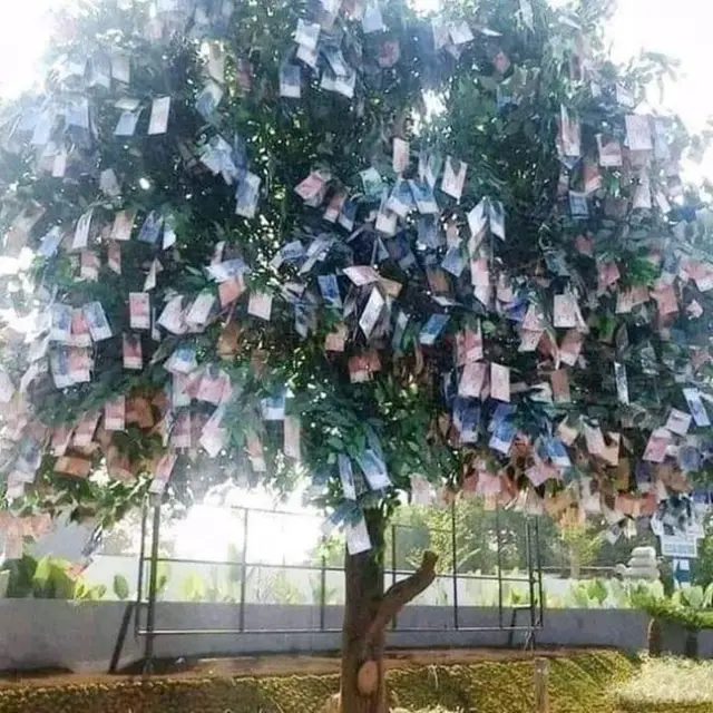 6 Trik Mengeringkan Duit Ini Kelewat Kreatif, Bikin Geleng-Geleng