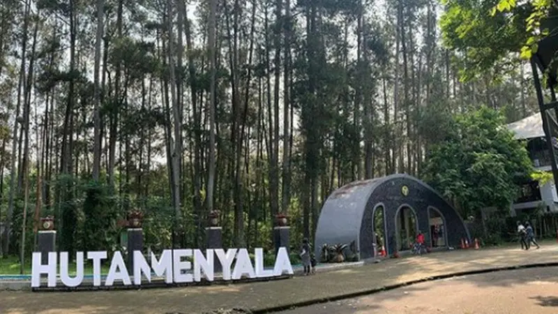 Hutan Menyala Taman Hutan Raya