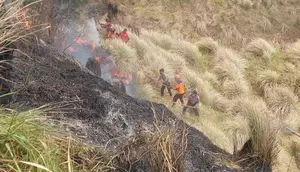 Angin Kencang Hentikan Water Bombing Kebakaran Bromo, Pemadaman Fokus di Darat
