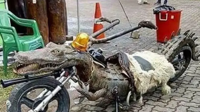 Kumpulan Potret Modifikasi Sepeda Motor yang Terinspirasi dari Hewan (ist)