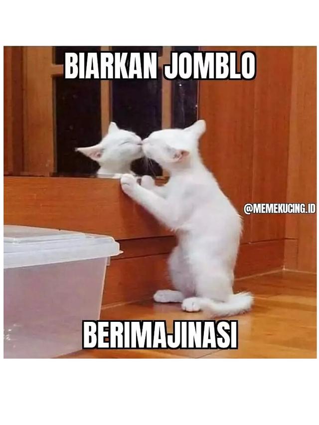 6 Meme Gambar Kucing Ini Bikin Ketawa Lepas, Ubah Sedih Jadi Senyum