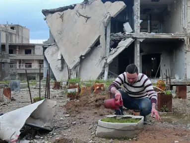 Seorang pria yang bernama Mohamed Ataya atau yang dikenal sebagai "Abu Maher" menyiram tanaman di atap bangunan yang rusak di wilayah Ghouta timur di ibukota Damaskus, Suriah (3/3). (AFP/Amer Almohibany)