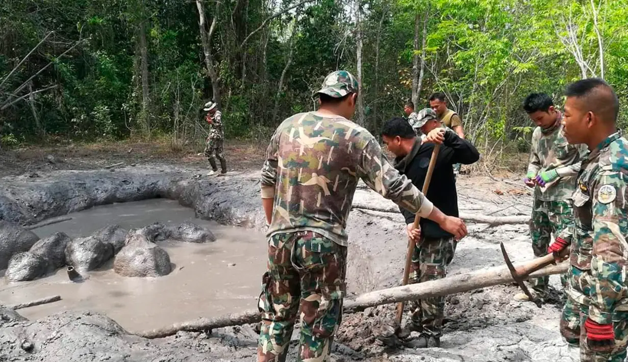 Polisi hutan mengevakuasi bayi gajah yang terperangkap dalam kolam lumpur di Taman Nasional Thap Lan, Provinsi Nakhon Ratchasima, Thailand, Kamis (28/3). Petugas mengevakuasi bayi-bayi gajah tersebut menggunakan batang pohon. (Department of Natural Park, Wildlife, and Plant Conservation via AP)