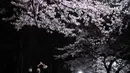 Orang-orang memotret bunga sakura yang bermekaran saat malam hari di Taman Inokashira di Tokyo, Jepang (29/3/2022). (AFP/Philip Fong)