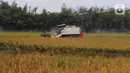 Petani memanen  padi menggunakan mesin potong padi modern di Persawahan Desa Sekar Wangi, Bekasi, Jawa Barat, Kamis (25/5/2023).(merdeka.com/imam buhori)