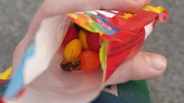 8 Momen Apes Netizen saat Akan Makan Ini Bikin Elus Dada