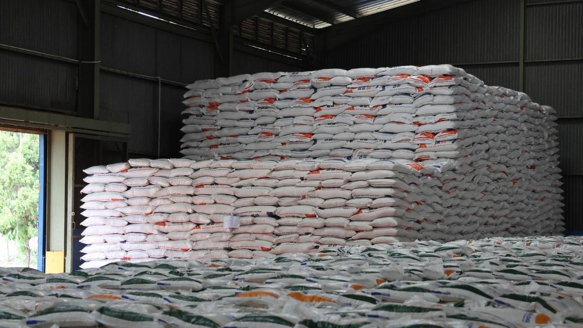 Bulog Pinjam Pabrik Wilmar Buat Olah Beras Ekspor ke Arab Saudi