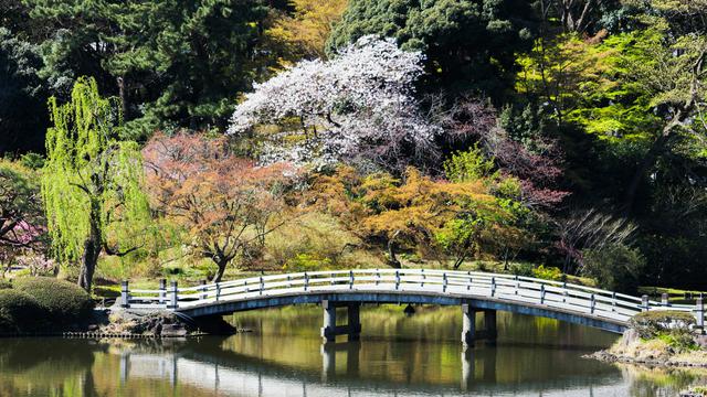 Shinjuku Gyoen National Garden