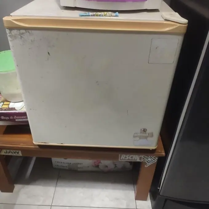 Ramadan dan Lebaran yang Fitri, Ini Cara Bersihkan Jamur yang Menempel di Kulkas Tanpa Harus Disikat