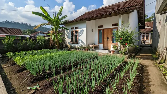 Model Kebun dan Peternakan Mini yang Bisa Jadi Penghasilan Tambahan di Rumah Model Kebun Daun Bawang di Pekarangan