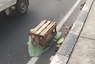 Jasad bayi yang hancur ditutupi daun pisang yang berada di fly over Jalan Raya Tanah Baru, Depok. (Liputan6.com/Dicky Agung Prihanto)