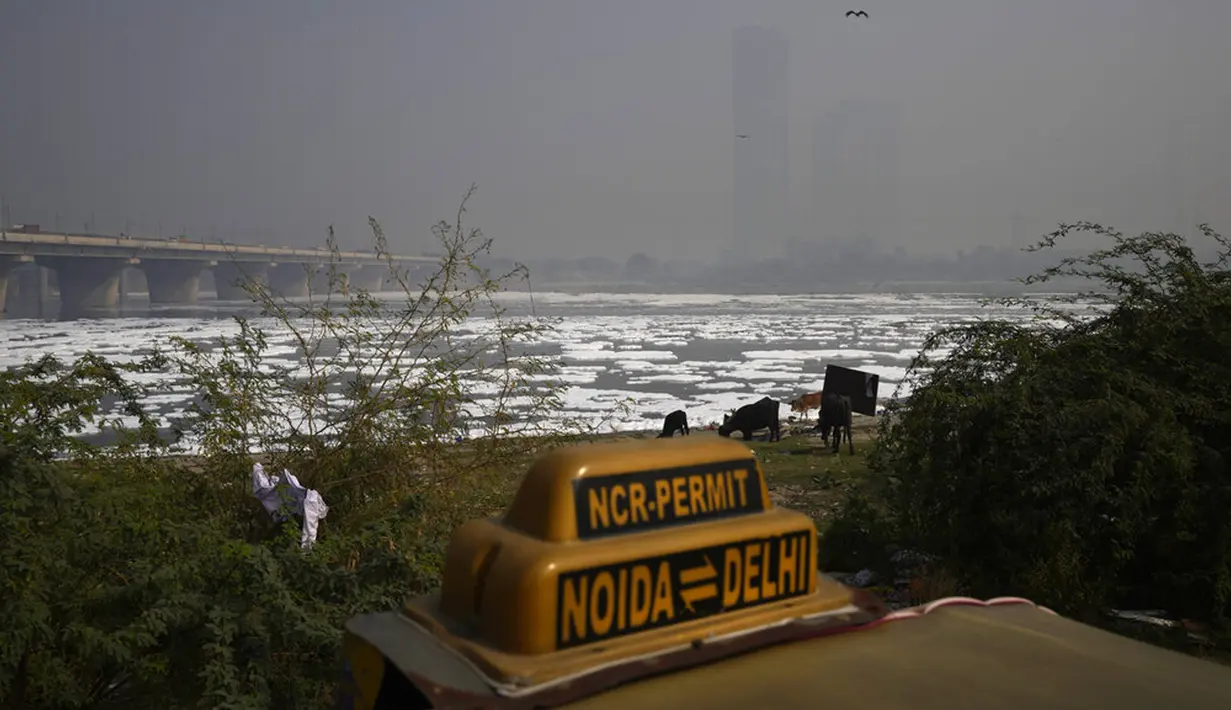 Sungai Yamuna tertutup busa kimia yang disebabkan polusi industri dan domestik saat cakrawala diselimuti kabut asap beracun di New Delhi, India, 17 November 2021. Tingkat polusi di New Delhi mencapai level yang sangat buruk pada bulan ini. (AP Photo/Manish Swarup)