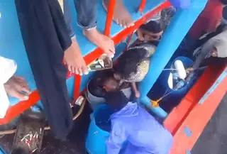 Penganiayaan ABK. (Tangkap layar Facebook)