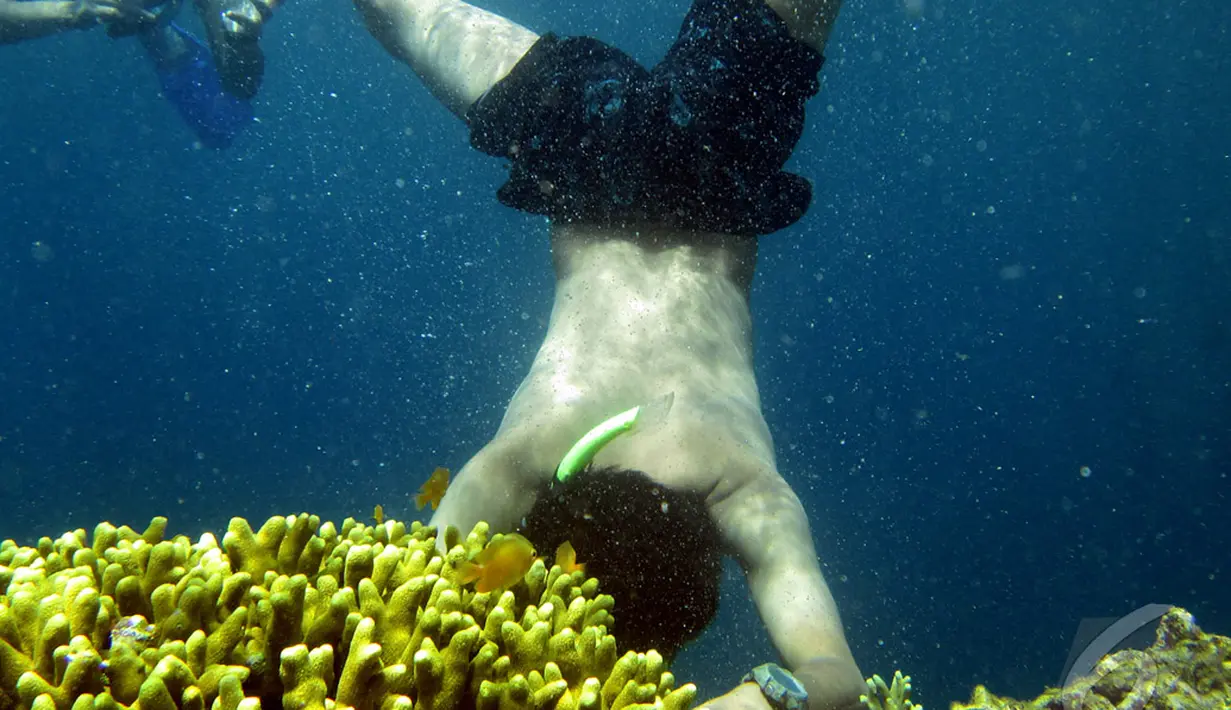 Di sekitar pulau Bunaken terdapat taman laut Bunaken yang merupakan bagian dari Taman Nasional Bunaken (7/9/2014) (Liputan6.com/Faisal R syam)