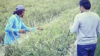 Badri (kiri) menjelaskan bagaimana menanam cabai dengan mengetahui karakteristik tanah. (Liputan6.com/M Syukur)