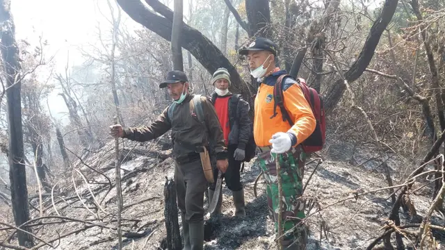 Kebakaran Gunung Slamet di ketinggian 3.000 mdpl. (Foto: Liputan6.com/BPBD Banyumas/Muhamad Ridlo)