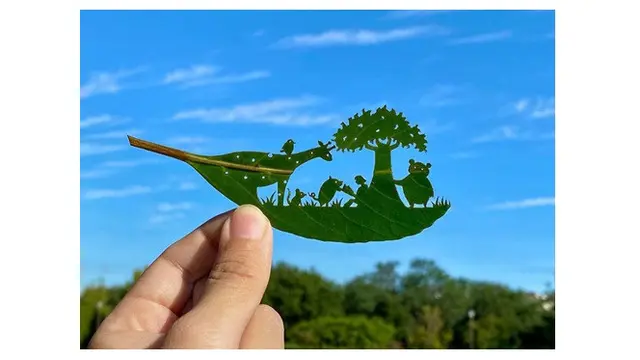 Unik, 7 Karya Seni Ukiran Daun Ini Detailnya Mengagumkan