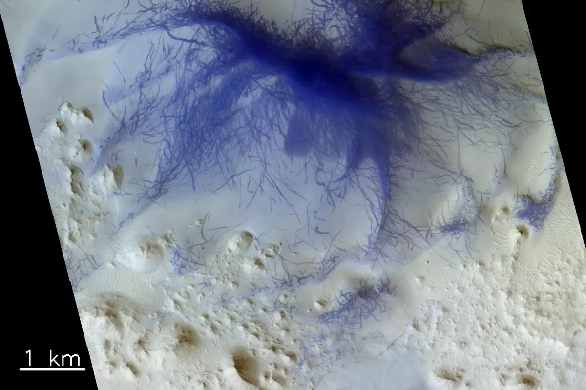 Laba-Laba Biru di Mars