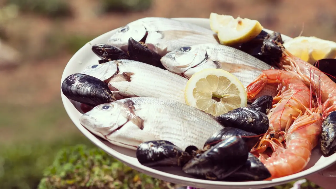 Ilustrasi seafood