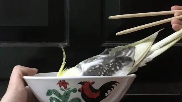 6 Potret Burung Ikut Makan Ini Bikin Tepuk Jidat,