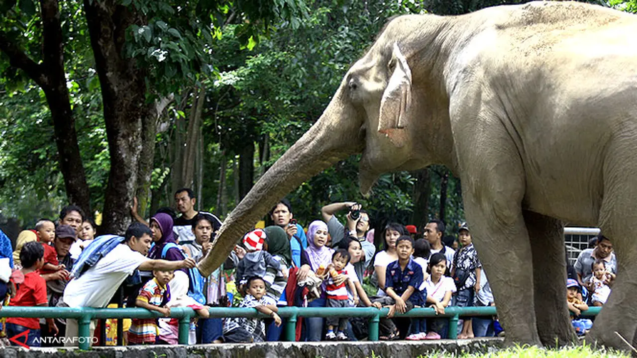 ragunan121226b.jpg