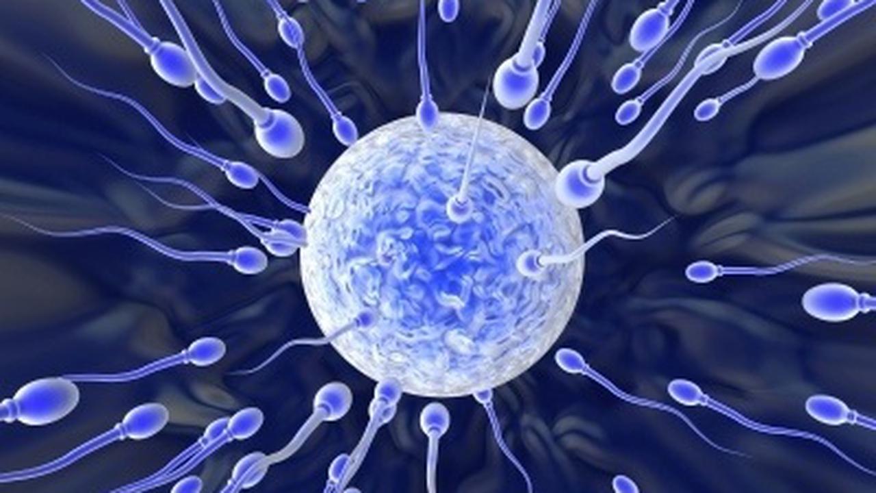 Ajoyib erotika, ajoyib sluts, yalangoch fotosuratlar