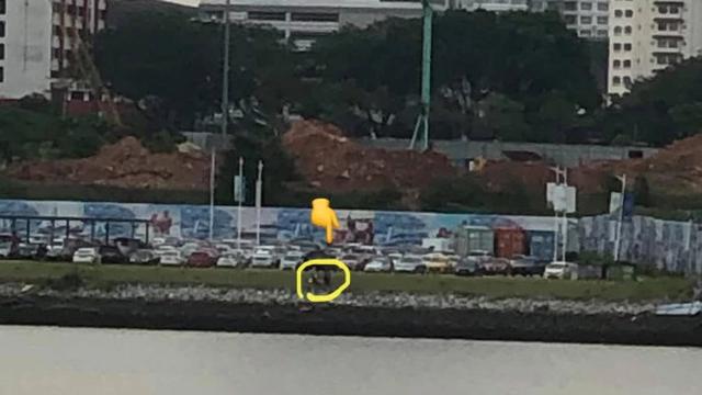 Terpisah karena Lockdown, Bapak dan Anak Saling Melambaikan Tangan dari Seberang Sungai