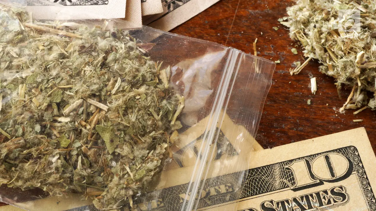 Ganja atau Mariyuana