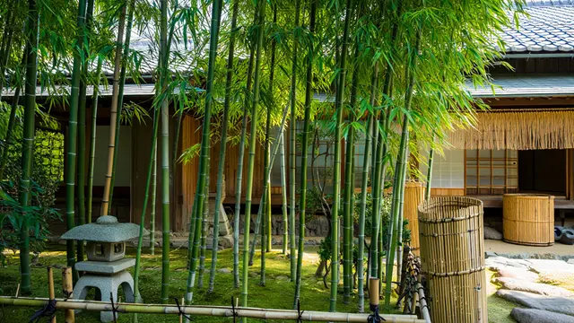 Ide Kebun Produktif ala Rumah Jepang di Desa (AI)