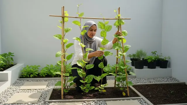 Tanaman Pangan untuk Gaya Hidup Slow Living