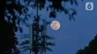 Fenomena langka blue moon terlihat di langit kawasan Jakarta, Rabu (30/8/2023). (Liputan6.com/Faizal Fanani)
