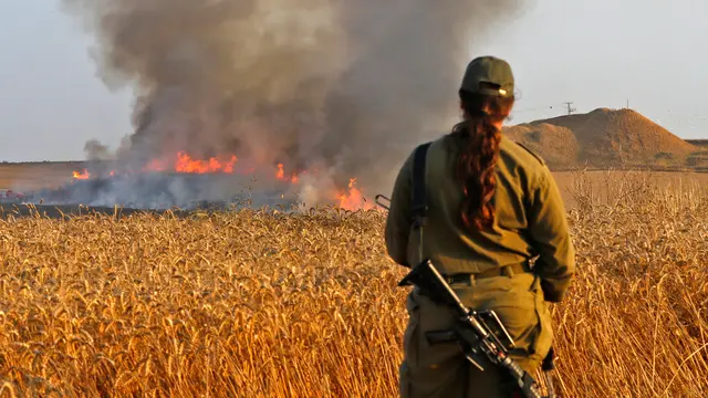 Bentrokan di Jalur Gaza, Ladang Gandum Israel Hangus Terbakar