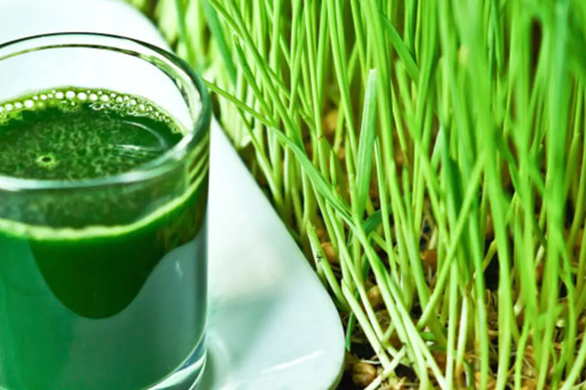 Foto: copyright by Thinkstock.com