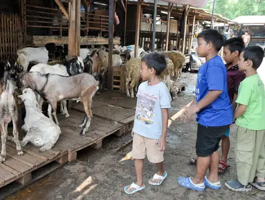 Sejumlah anak melihat kambing yang dijual untuk kurban di kawasan Tanah Abang, Jakarta, Sabtu (3/9).  Untuk harga Kambing dijual dengan harga Rp2,2-5,5 juta, sedangkan harga sapi Rp18-35 juta. (Liputan6.com/Yoppy Renato)