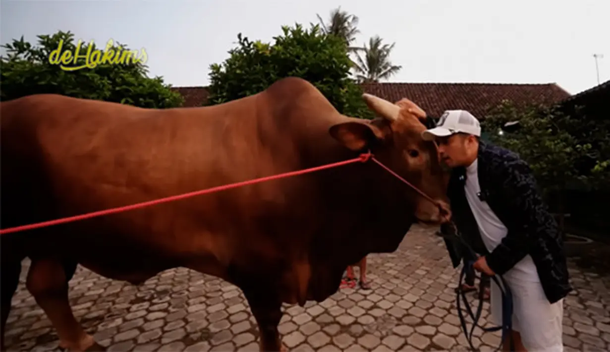 "Bismillah… WARISO..Insya Allah tahun ini jadi hewan Qurban saya dan keluarga..,"  tulisnya di akun instagramnya. [Youtube/deHakims channel]