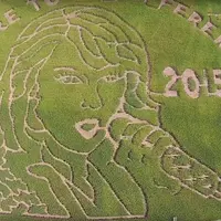 Seorang petani di Maryland yang sangat kreatif ini sanggup membentuk ladang jagung menjadi wajah Taylor Swift. 
